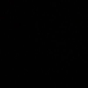 Meet your Posher, Noah